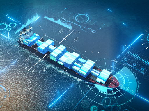 AIS-based Initiatives